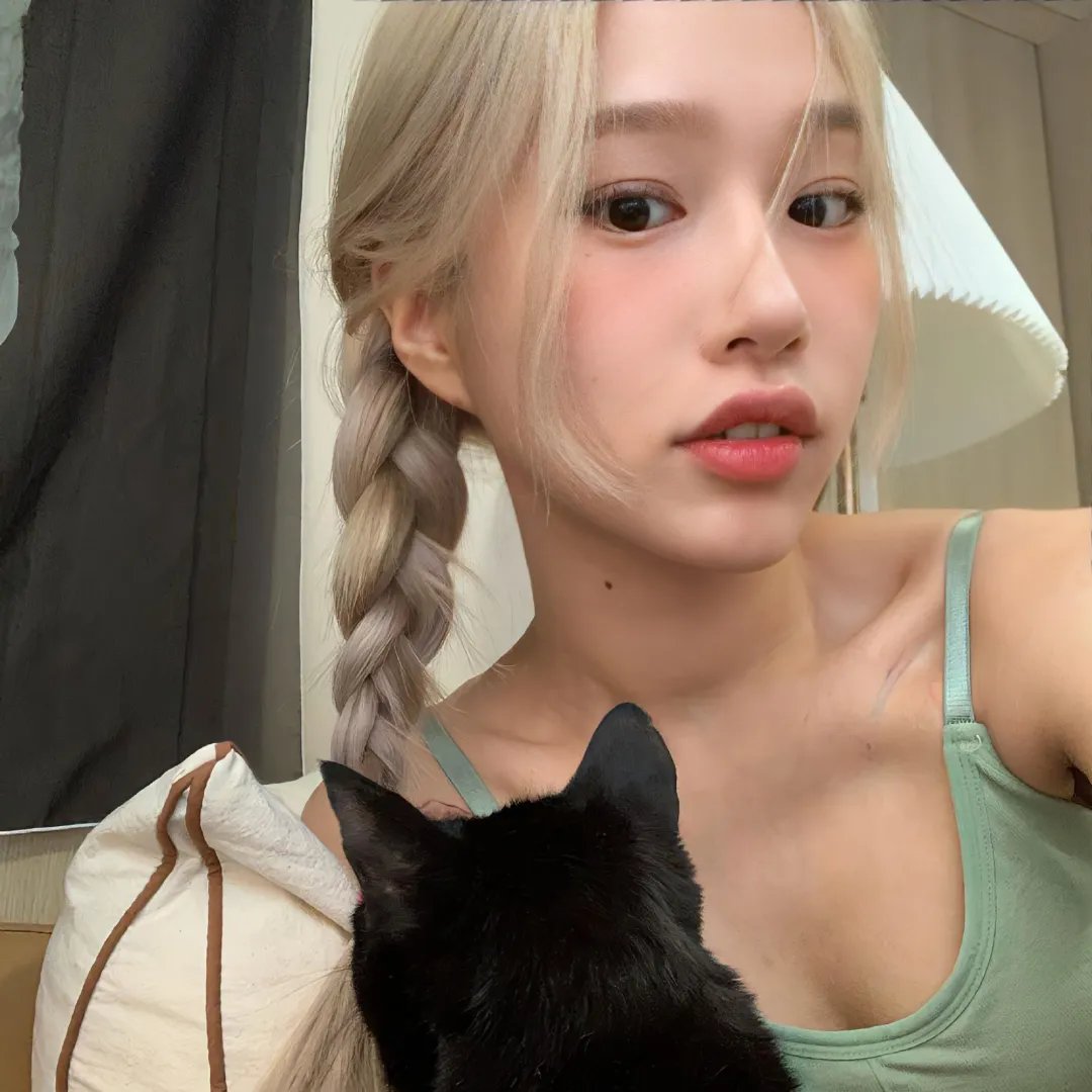 白玫瑰